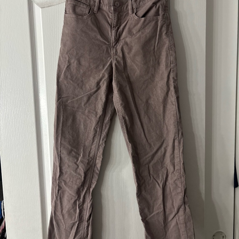 Mauve Casual Pants